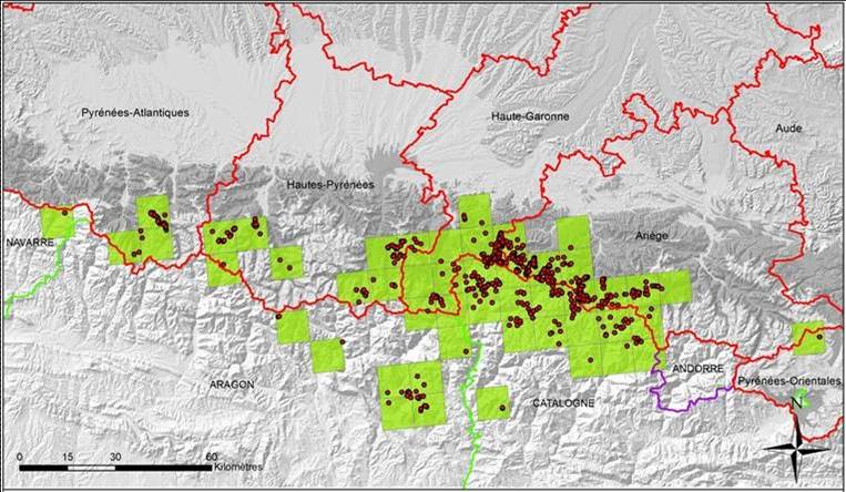 mapa poblacio ossos