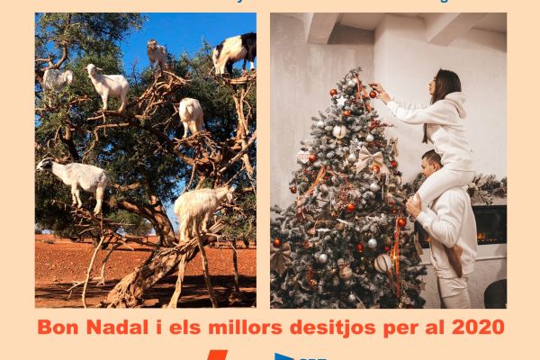 Bones Festes i un bon any 2020