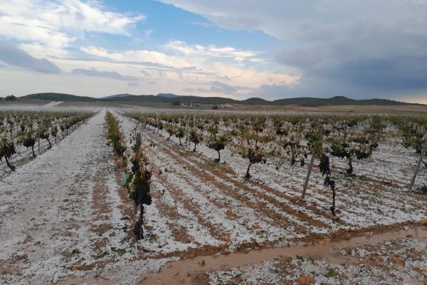 TEMPESTES DE PEDRA, SEQUERA i GELADA