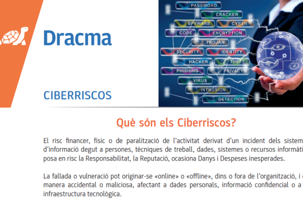 Què són els ciberriscos? Què pot oferir una ciberassegurança?